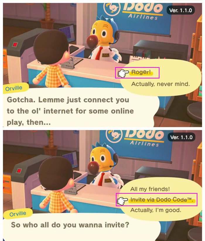 So this was my Dodo Code : AnimalCrossing