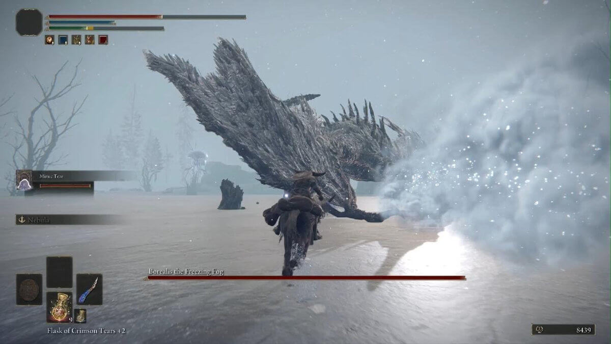 Borealis, the Freezing Fog