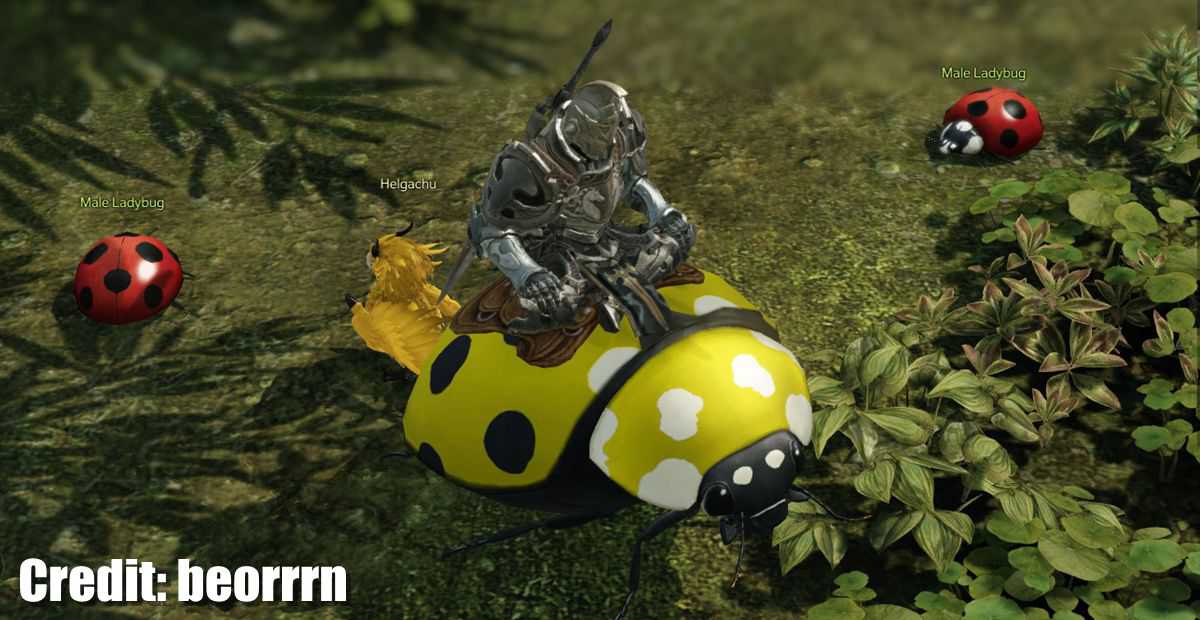 Free Mounts You Can Get in Lost Ark Ladybug Mount