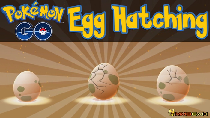 hatch eggs