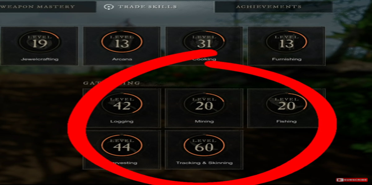 New World MMO Beginners Guide