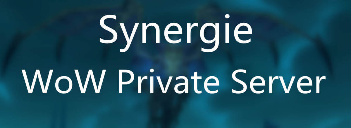 Synergie private server-1