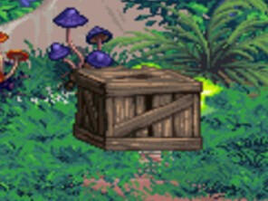 dfo box for old city