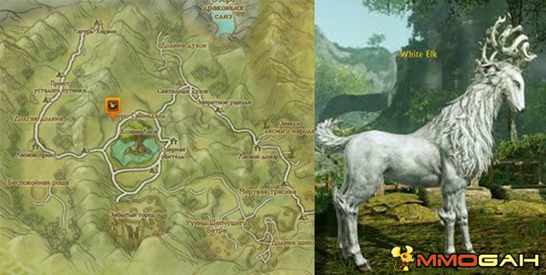 archeage battle pet