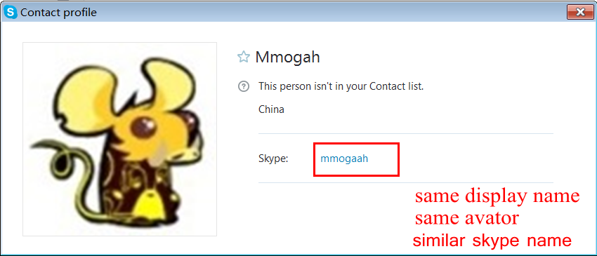 fake skype name