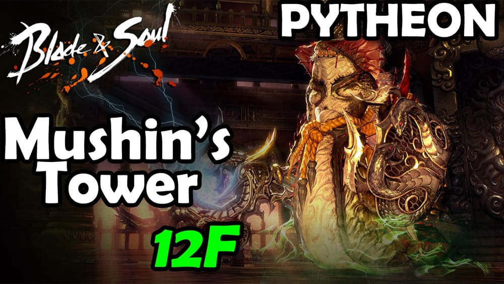 Guide To Mushin S Tower F9 15